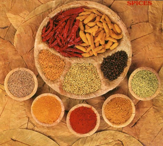 Spices of India